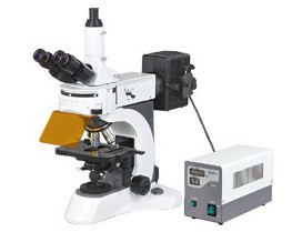 لیبارٹری حیاتیاتی فلوروسینٹ مائیکرو اسکوپ